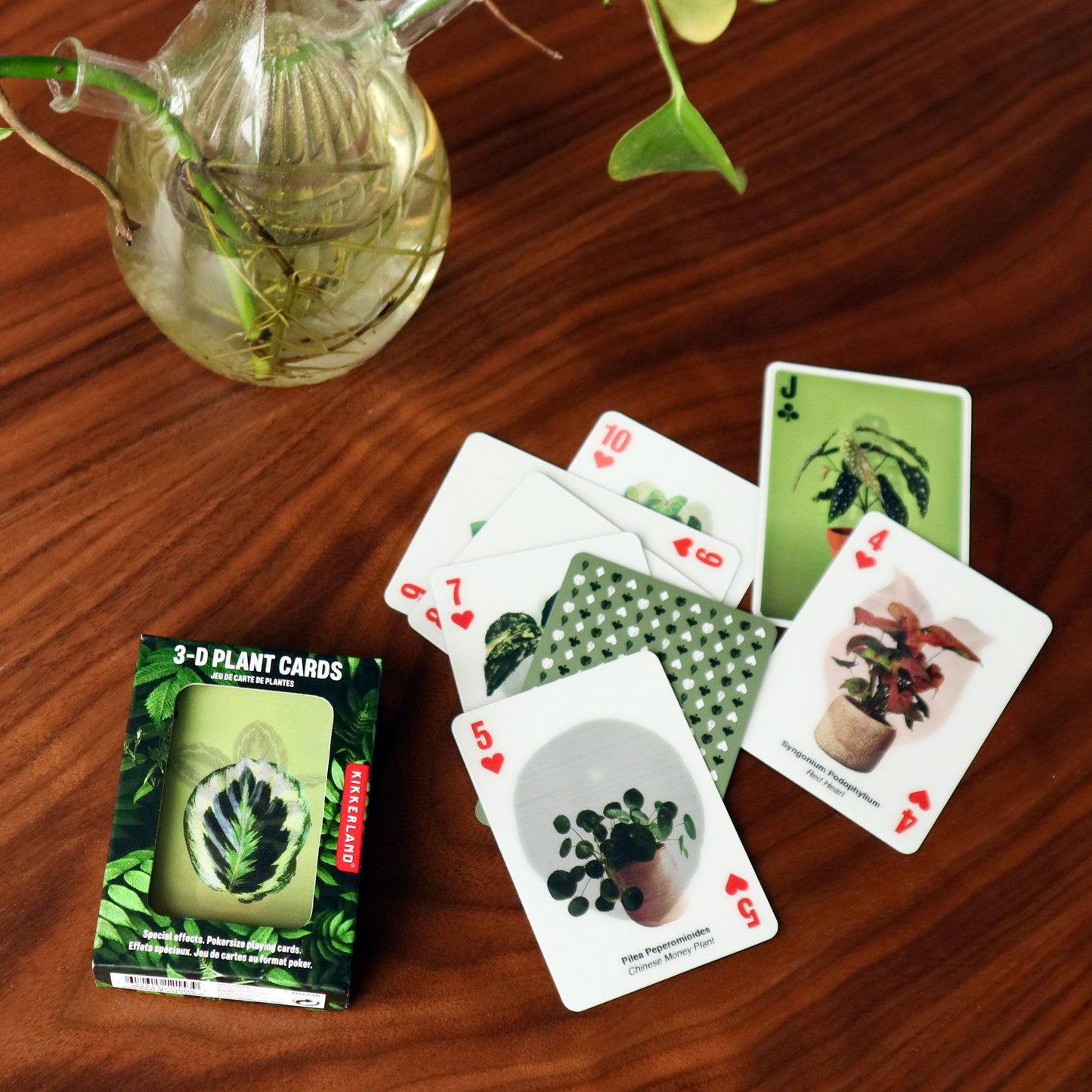 3D Plant Cards